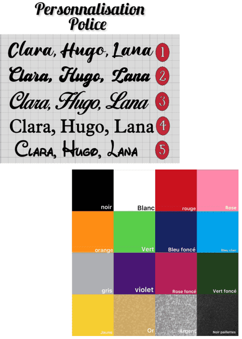 Protège carnet de santé- Prêt à envoyé 